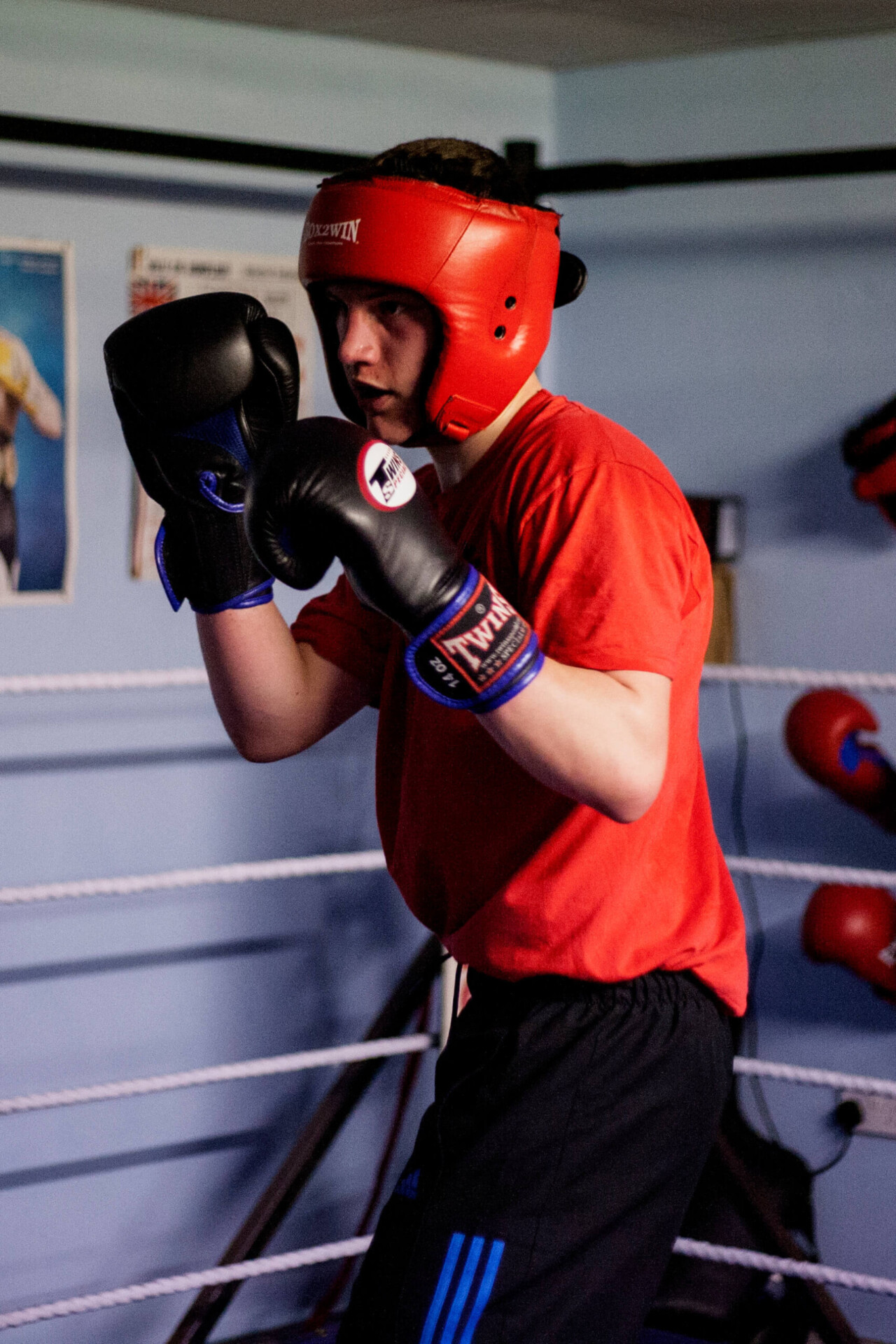 Arena boxer training in protective headgear